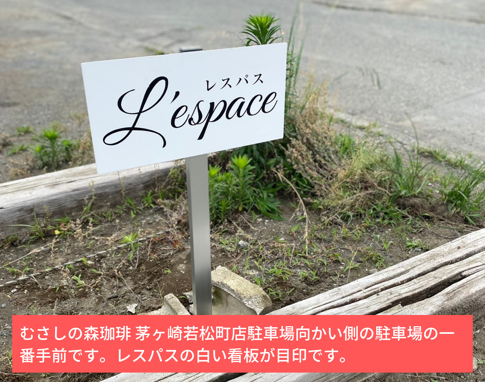 むさしの森珈琲-茅ヶ崎若松町店駐車場向かい側の駐車場の一番手前です。レスパスの白い看板が目印です。